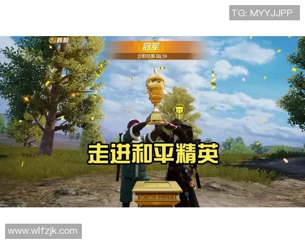 刘丽专访揭秘和平精英成功背后的策略与创新之路