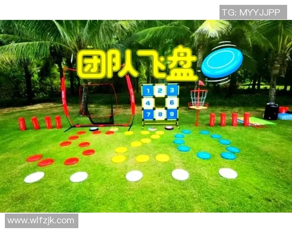 杭州飞盘队团队协作引发热议探讨运动精神与竞技公平的辩论