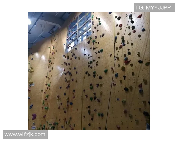 杭州攀岩队与南京攀岩队赛后战术分析与总结探讨